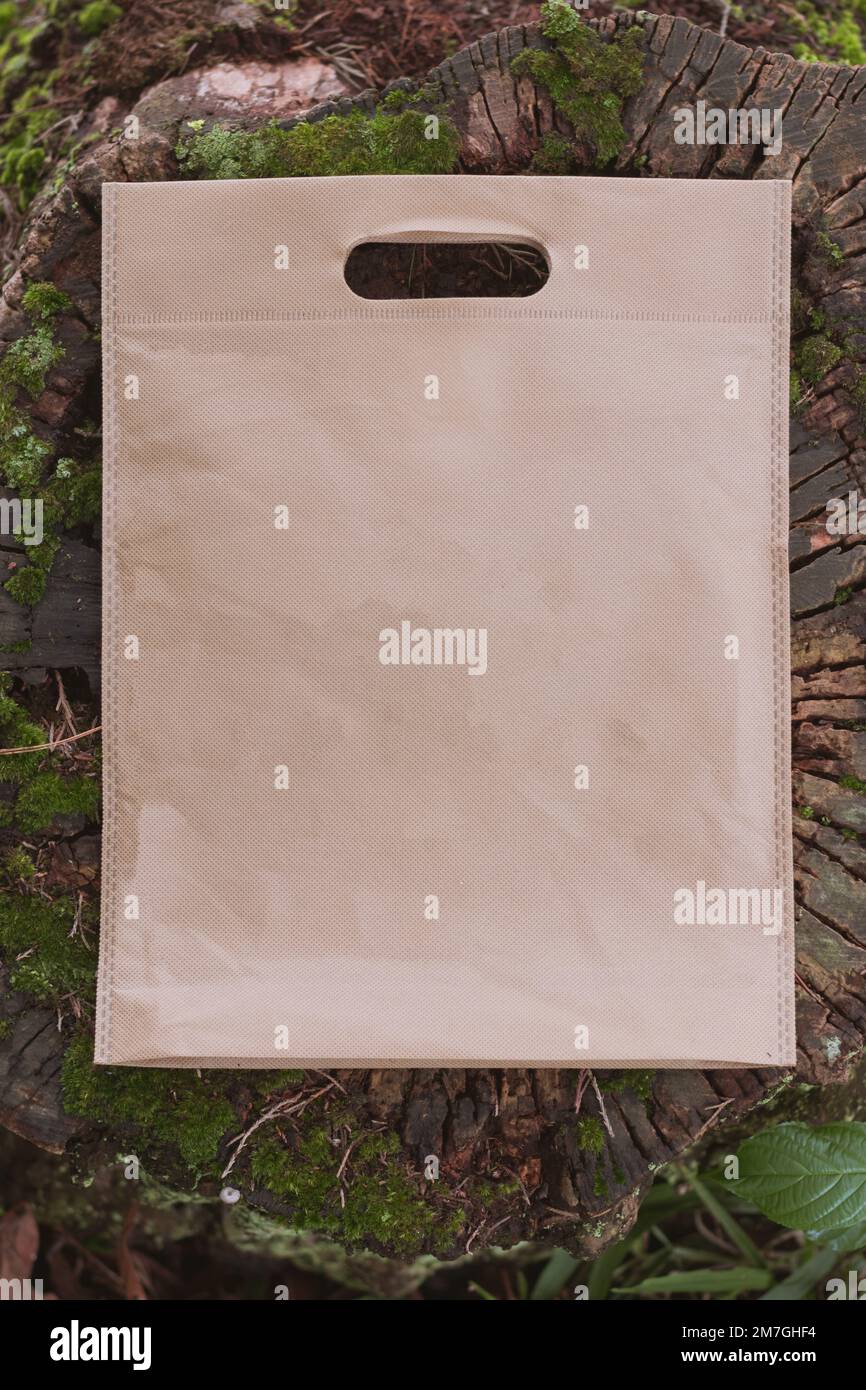Una foto verticale di una borsa da trasporto a fondo piatto filata, con spcae per testo, su un tronco d'albero tagliato Foto Stock