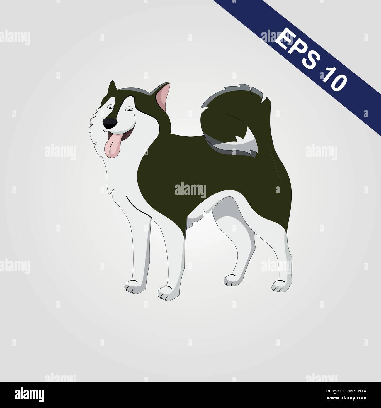 Vettore di Husky siberiano di malamuta dell'Alaska Illustrazione Vettoriale