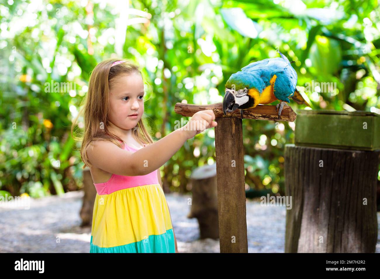Pappagallo di macaw per bambini nello zoo tropicale. Bambino che gioca con un uccello grande della foresta pluviale. Bambini e animali domestici. I bambini giocano e nutrono animali selvatici nel parco safari Foto Stock