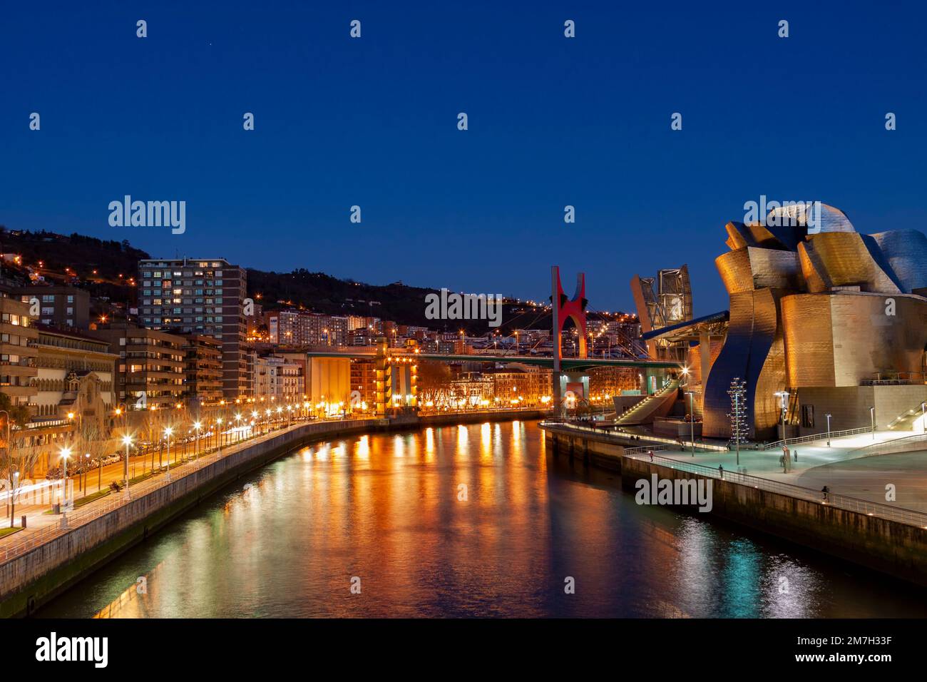 Vista notturna del museo Guggenheim sull'estuario del fiume Nervion. Bilbao, Spagna Foto Stock