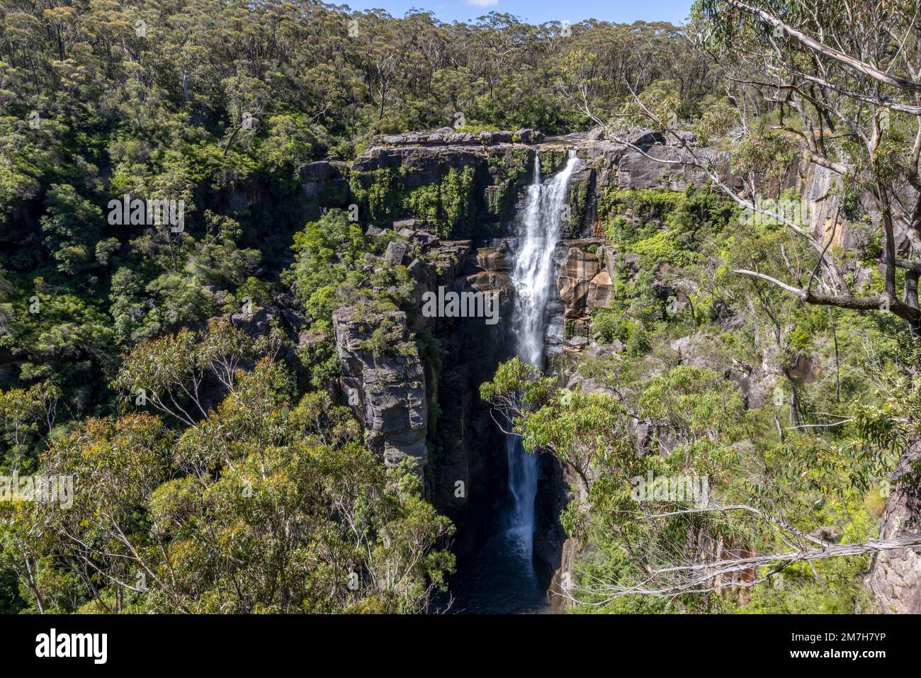 Cascate di Carrington, Southerland Highlands, New South Wales Australia Foto Stock