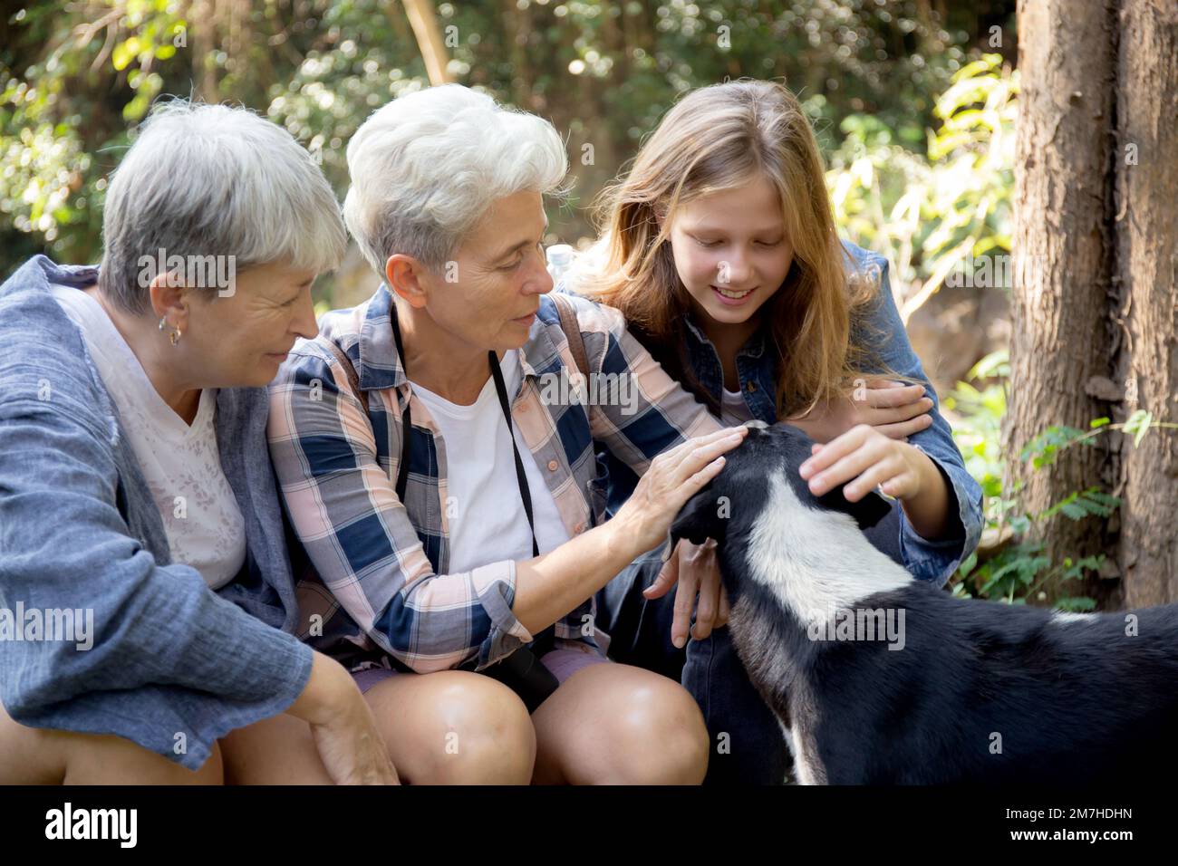 Ragazza adolescente e due nonna in viaggio per la foresta e l'avventura mentre giocoso con il cane insieme con felice, anziana e nipote Foto Stock