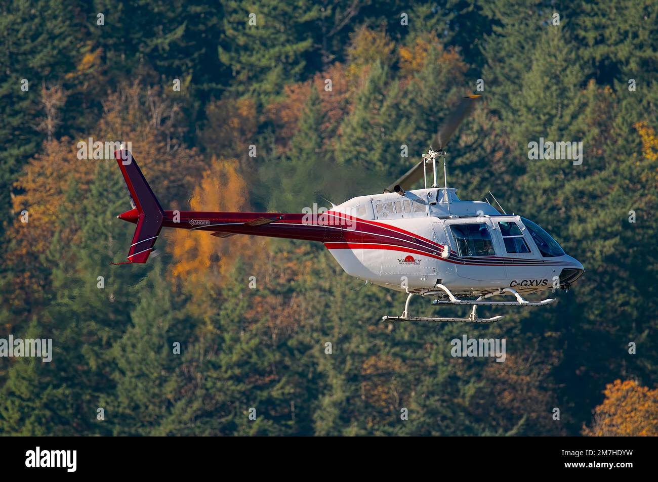 Un elicottero bianco e rosso che vola con alberi sullo sfondo. Metro Vancouver, B. C., Canada. Foto Stock