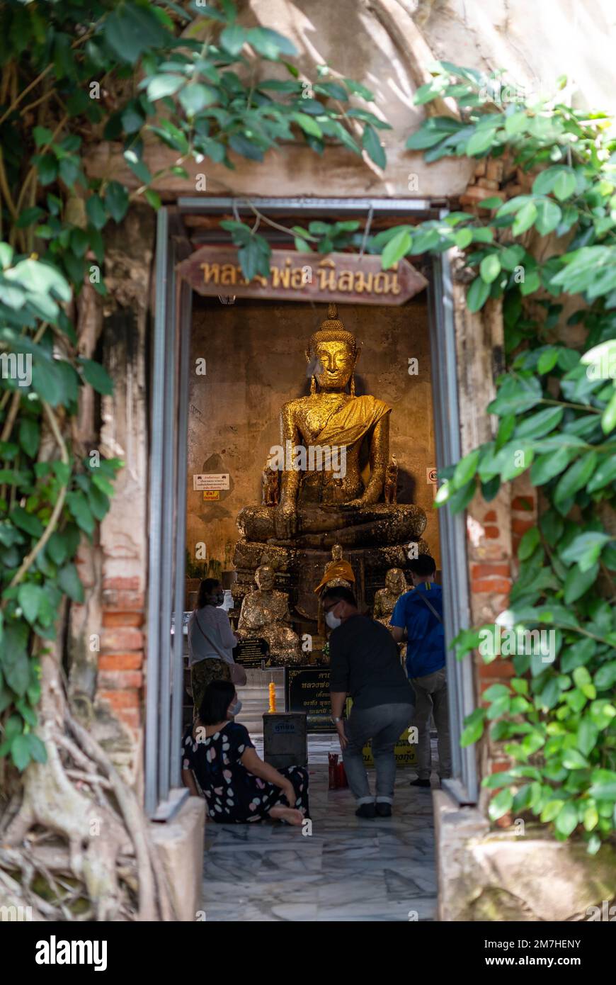 Samut Songkhram Thailandia, 29 NOVEMBRE 2022: Statua del Buddha d'oro in una chiesa coperta da un albero baniano di 100 anni a Wat Bangkung. Sono famosi per i viaggi Foto Stock