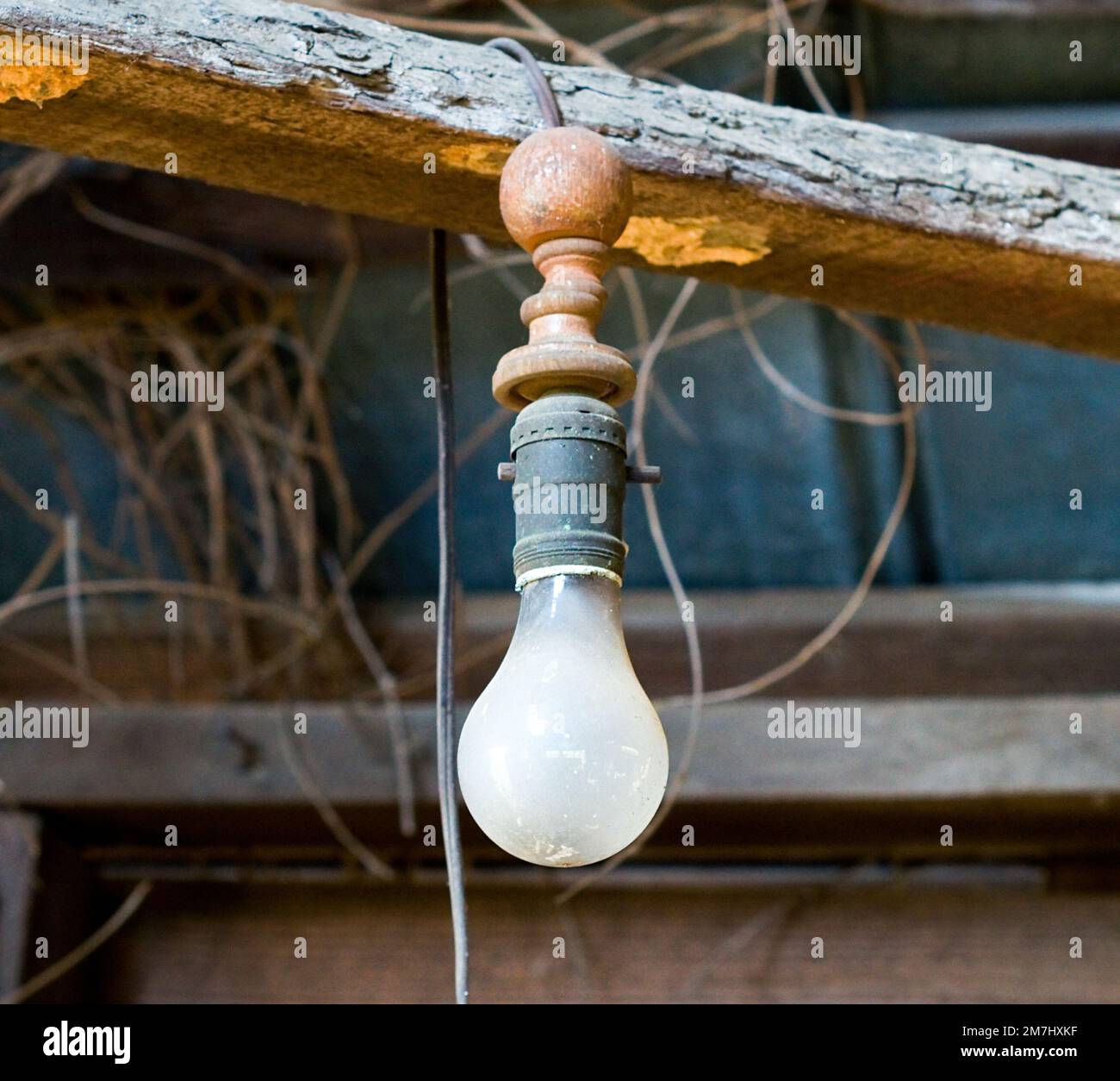 Una vecchia lampadina in un capannone attrezzi Foto Stock