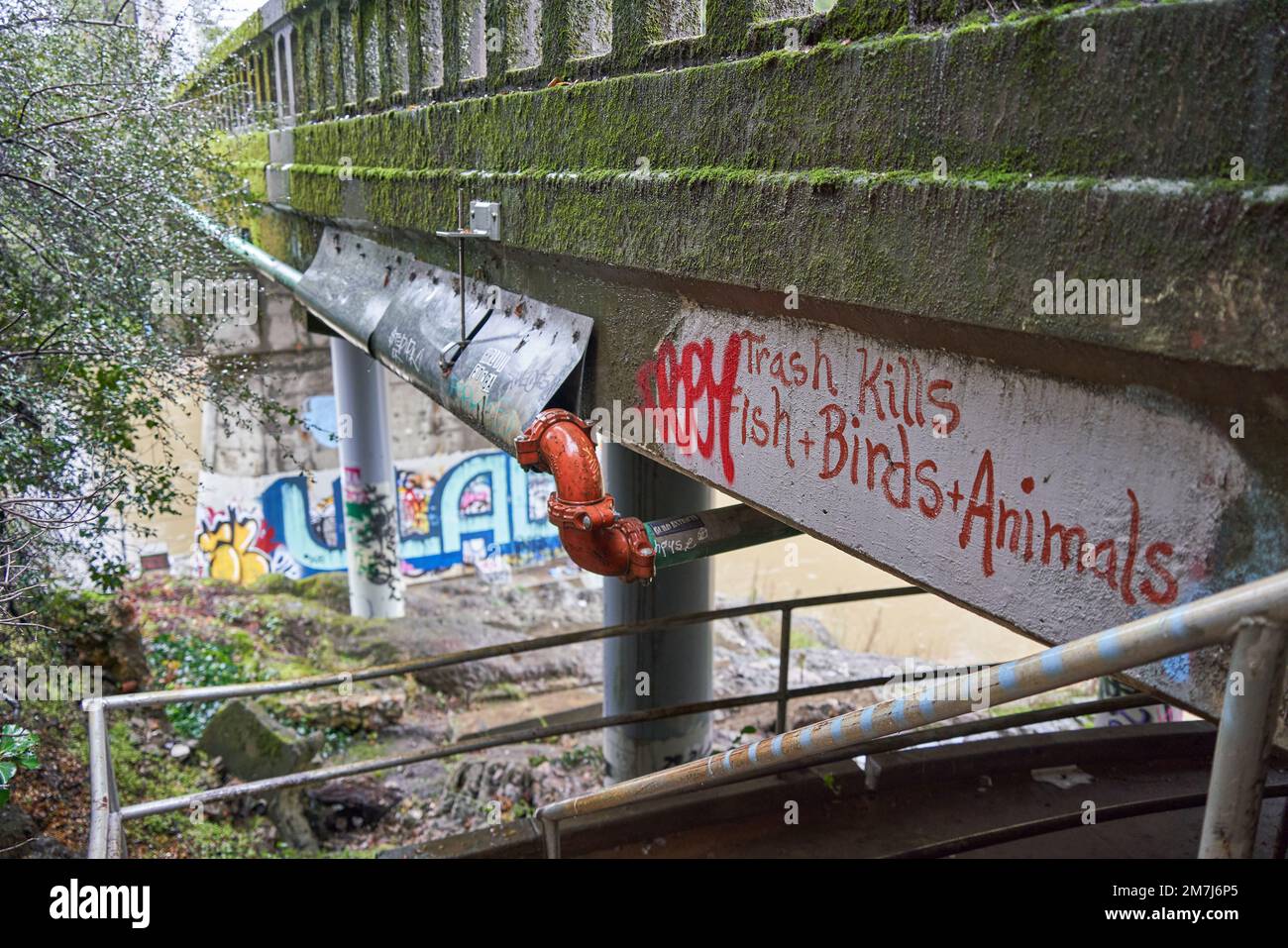 Graffiti e le parole Trash uccide gli animali di uccelli pesci sul lato di un ponte sul fiume russo a Forestville, California. Foto Stock