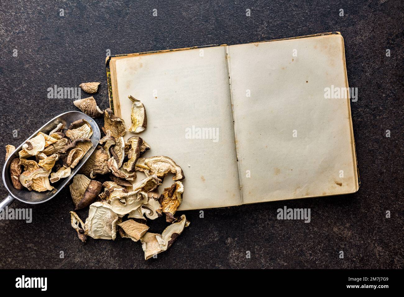 Libro di ricette vuoto e funghi secchi a fette. Vista dall'alto. Foto Stock