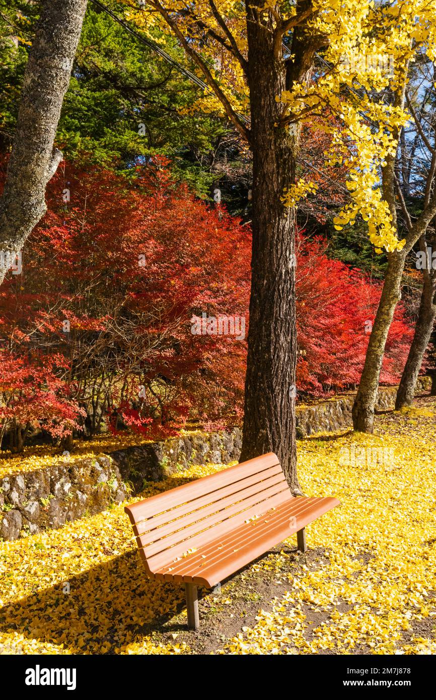 Giappone, Honshu, Prefettura di Nagano, Karuizawa, Mammei Historic Hotel, Foglie autunnali Foto Stock