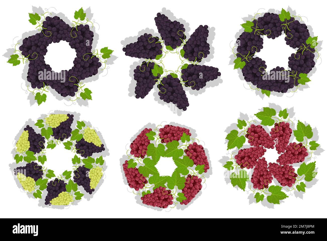 Succoso mazzo di uve con foglie e tendoli per decorare il cibo. Mazzetto di uva sotto forma di sole o fiore sulla parte superiore del piatto. Vettore cartoon isolato su w Illustrazione Vettoriale