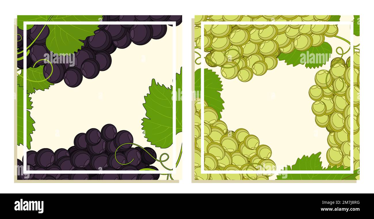 Carte quadrate festive con grappolo d'uva con foglie e tendoli. Sagome quadrate per la progettazione di menu per ristoranti e caffè. ISO vettore cartoon Illustrazione Vettoriale