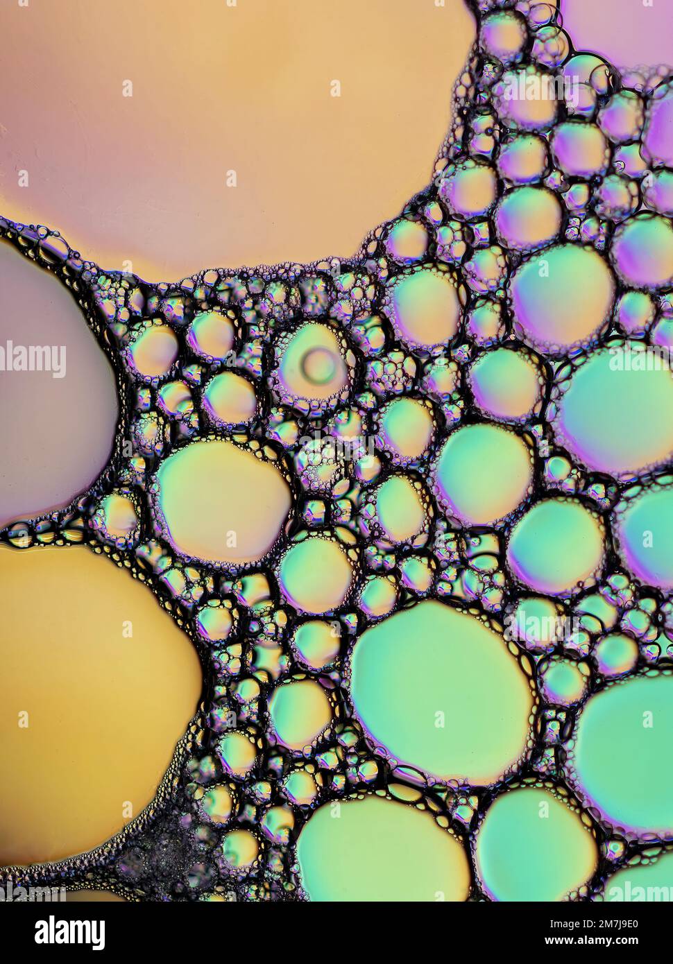 Motivi colorati di diffrazione della luce formati da goccioline di olio che galleggiano sull'acqua sopra uno sfondo colorato Foto Stock