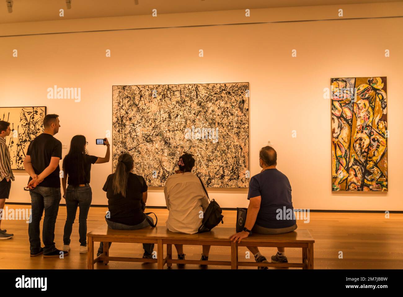 Jackson Pollock: Numero 1, 1950 (Lavender Mist), 1950 National Gallery of Art - East Building, Washington, D.C., USA Foto Stock