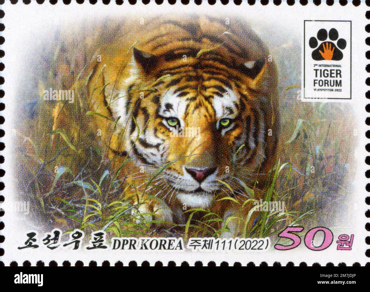 2022 francobollo della Corea del Nord con una tigre Amur per il secondo Forum Internazionale delle tigri a Vladivostok, Russia. Francobollo 50 DPRK vinto. Foto Stock