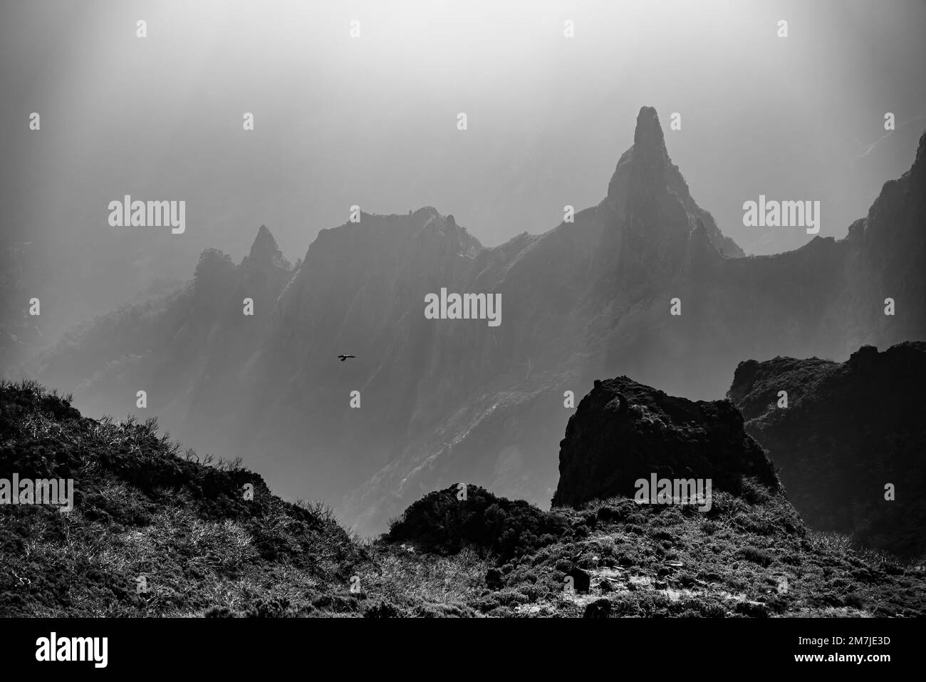 Una vista panoramica di un uccello che vola sulle montagne rocciose in una giornata nebbia scattata in scala di grigi Foto Stock