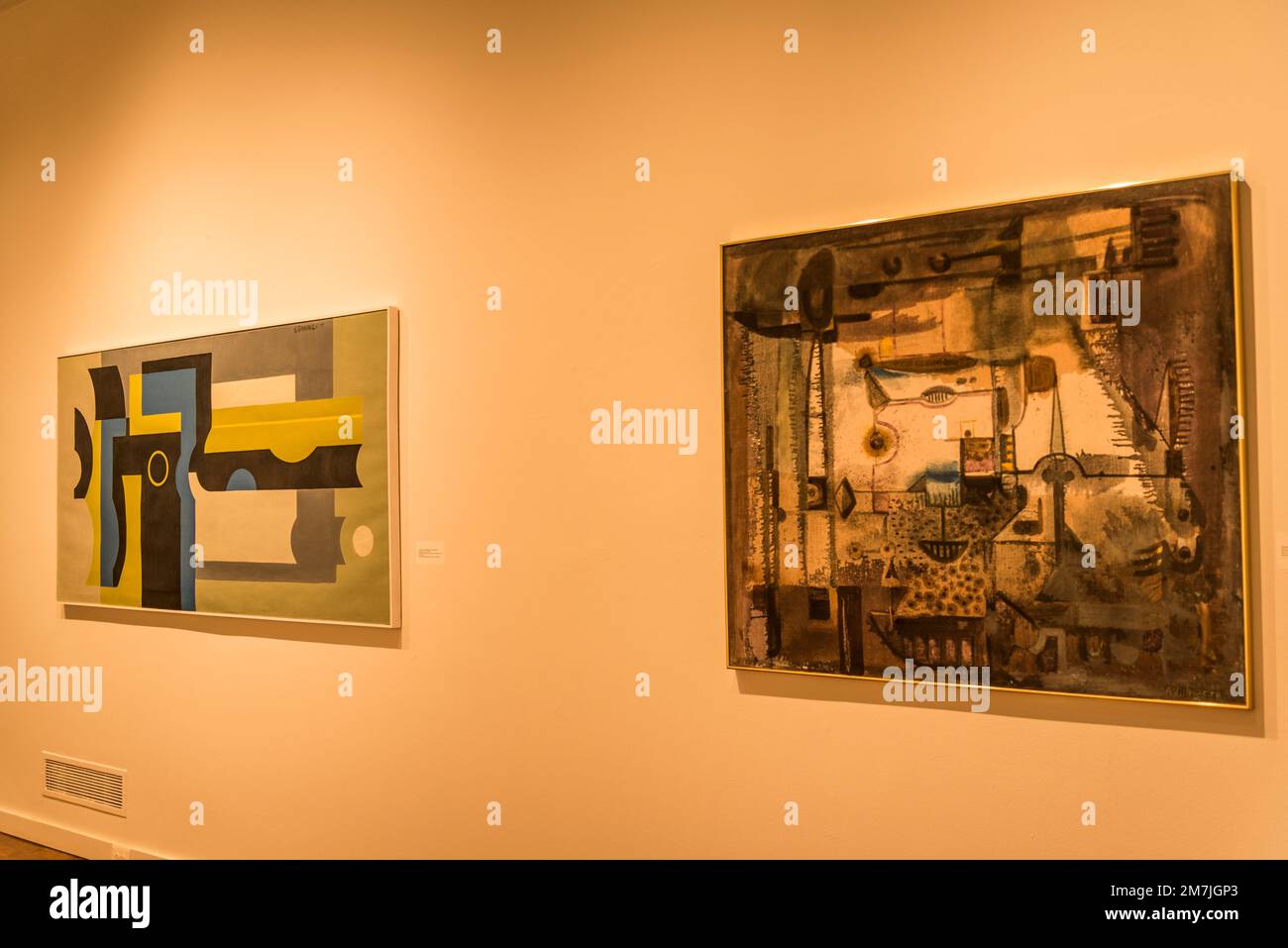 Art Museum of the Americas, il primo museo d'arte degli Stati Uniti dedicato principalmente all'esposizione di opere d'arte moderna e contemporanea dal latino Foto Stock