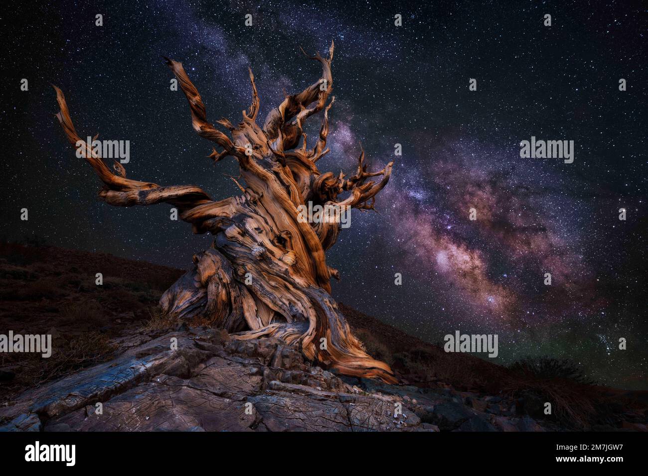 Una splendida immagine della Via Lattea. USA: Una splendida immagine mostra il Monte Rainier con l'incredibile sfondo della Via Lattea che sembra eruttare come l Foto Stock