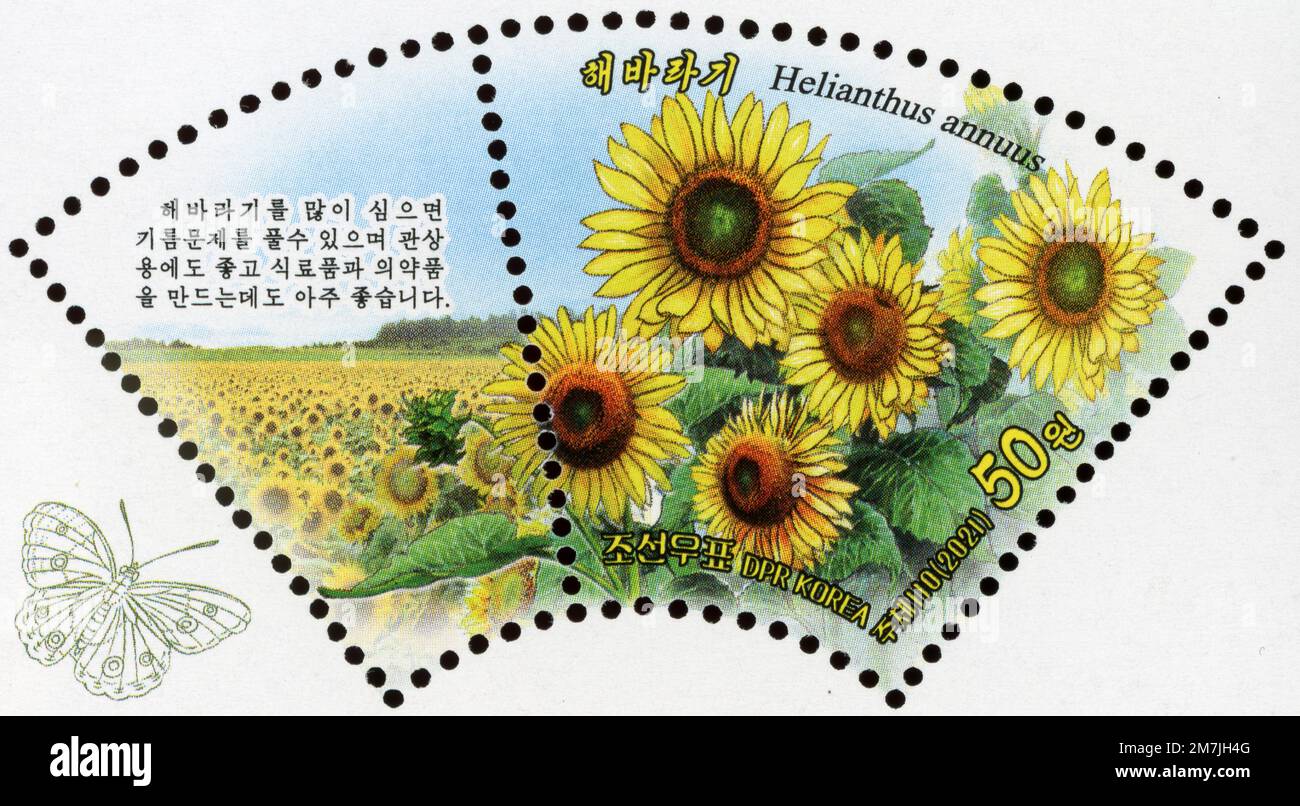 2021 Corea del Nord francobollo series.Plants.Common girasole, Helianthus annuus Foto Stock