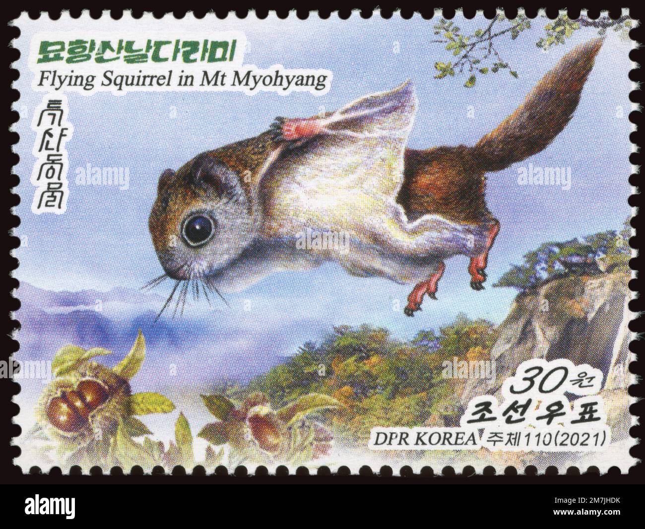 2021 serie di francobolli per la Corea del Nord. Fauna della Corea del Nord. Scoiattolo volante Siberiano, volani Pteromys Foto Stock