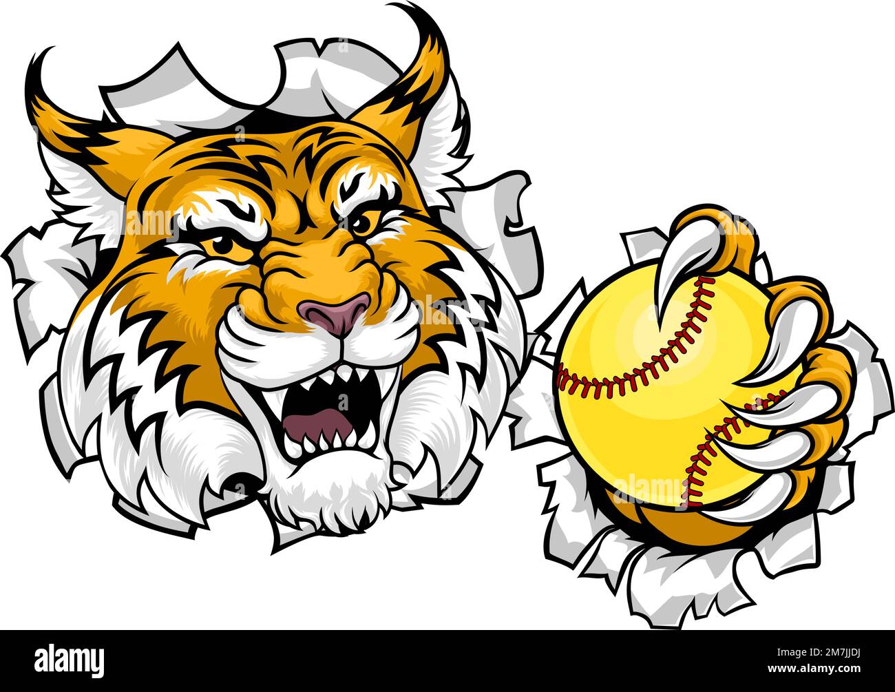 Wildcat Bobcat Softball Animal Sports Team Mascot Illustrazione Vettoriale