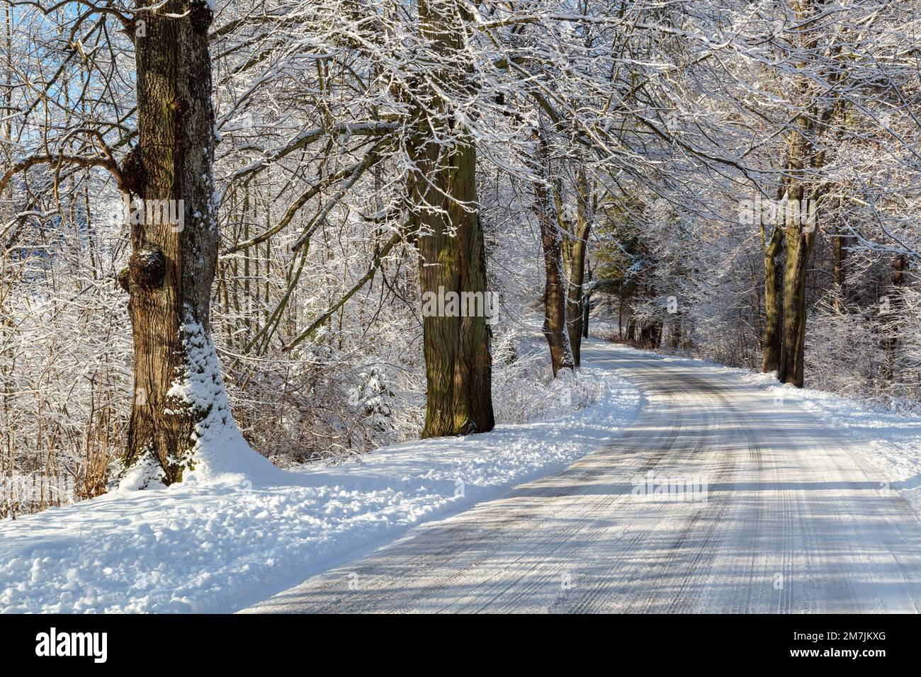 Paesaggio invernale, strada Masuriana, Polonia Foto Stock