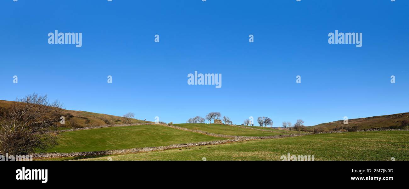 Con pareti di pecora e pietra arenaria, una vista agricola che guarda a nord dalla punta settentrionale di Semerwater, Raydale. North Yorkshire Foto Stock