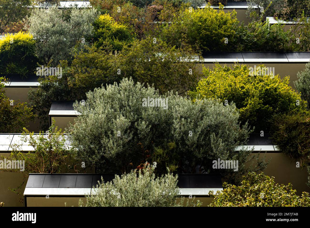 Bosco verticale, edificio forestale verticale, Milano, Italia, verde lussureggiante, balconi, ogni piano, unico, ecologico, giungla urbana, architettura della città Foto Stock
