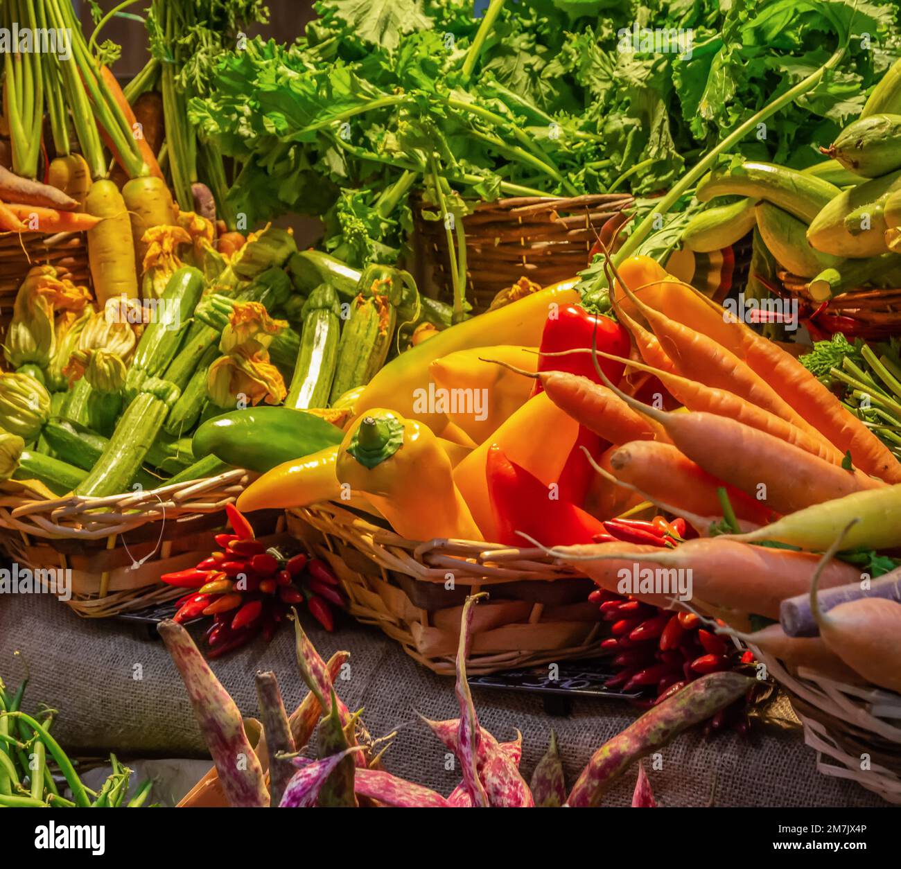 Verdure fresche raccolte assortite tra cui carote, peperoni, zucchine, peperoncini Foto Stock