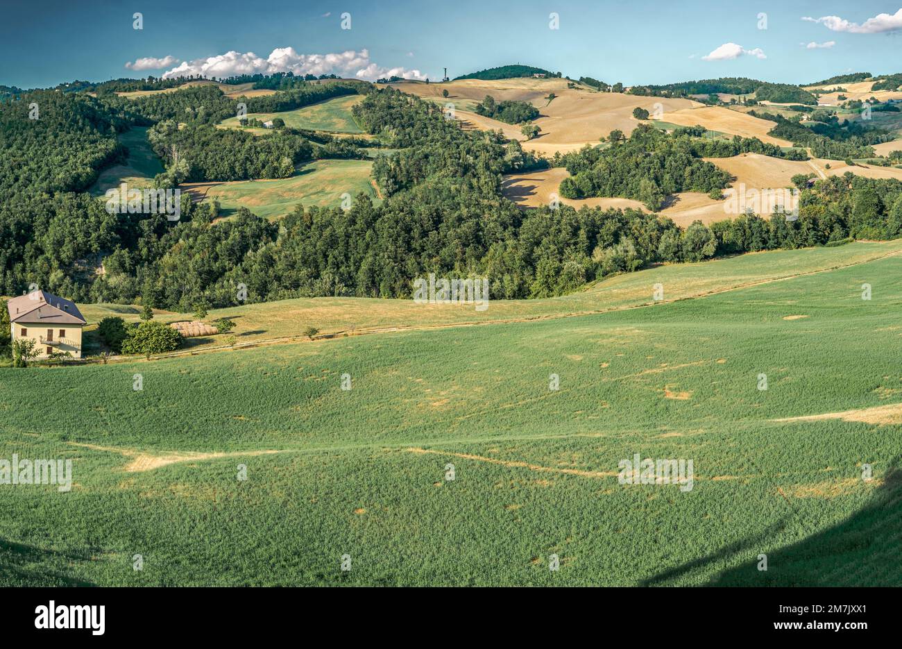Terreno coltivato e boschivo sul versante bolognese. Loiano, provincia di Bologna, Emilia-Romagna, Italia Foto Stock