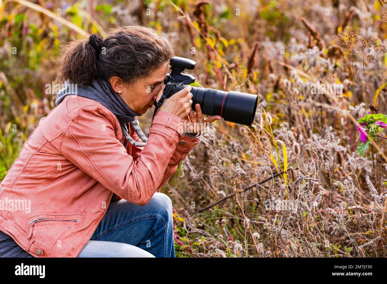 Bella donna isolata come fotografo con fotocamera reflex digitale professionale in campagna in autunno Foto Stock