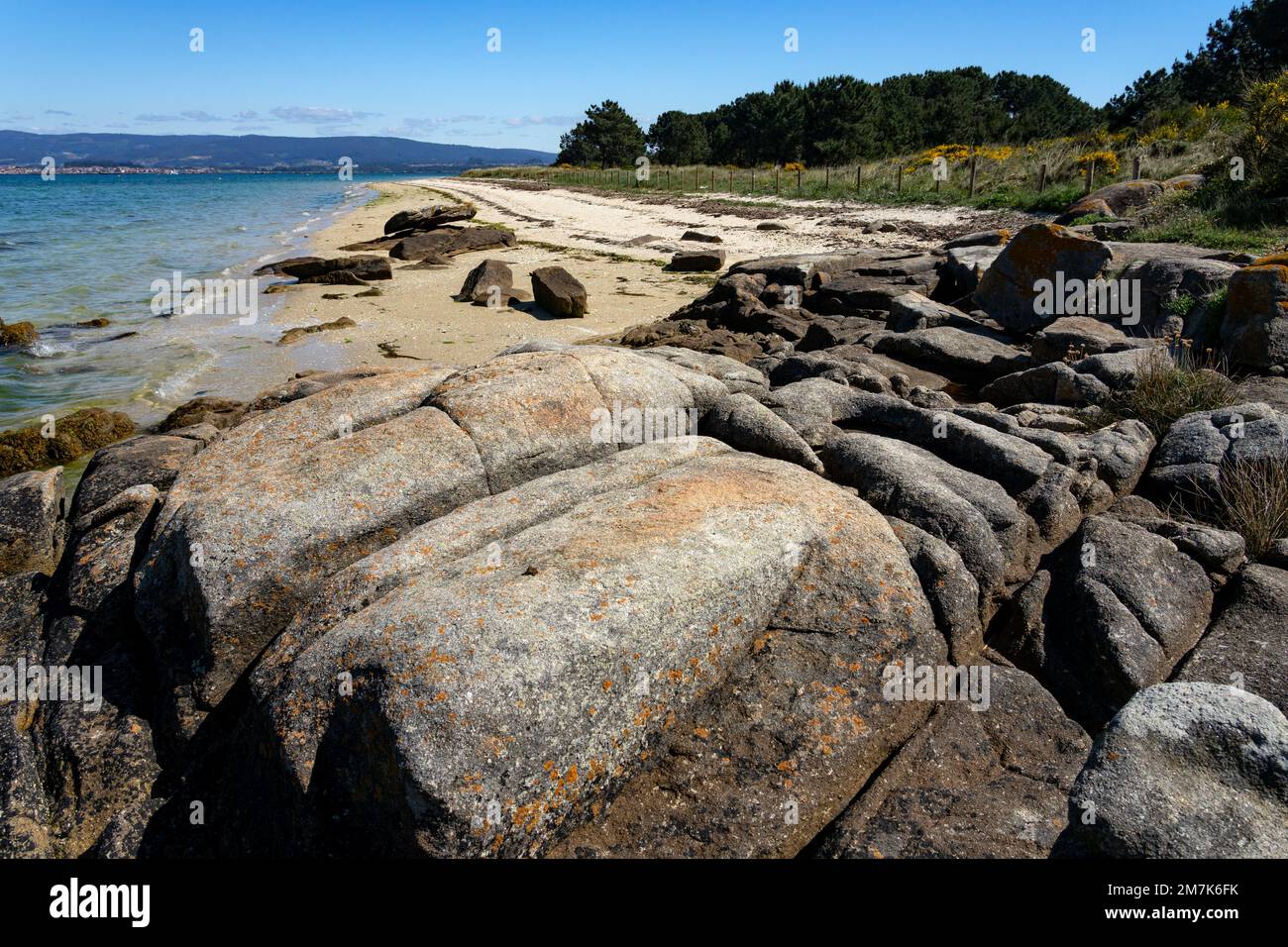 Parco Naturale di Carreirón nell'isola di Arousa con la pineta Foto Stock