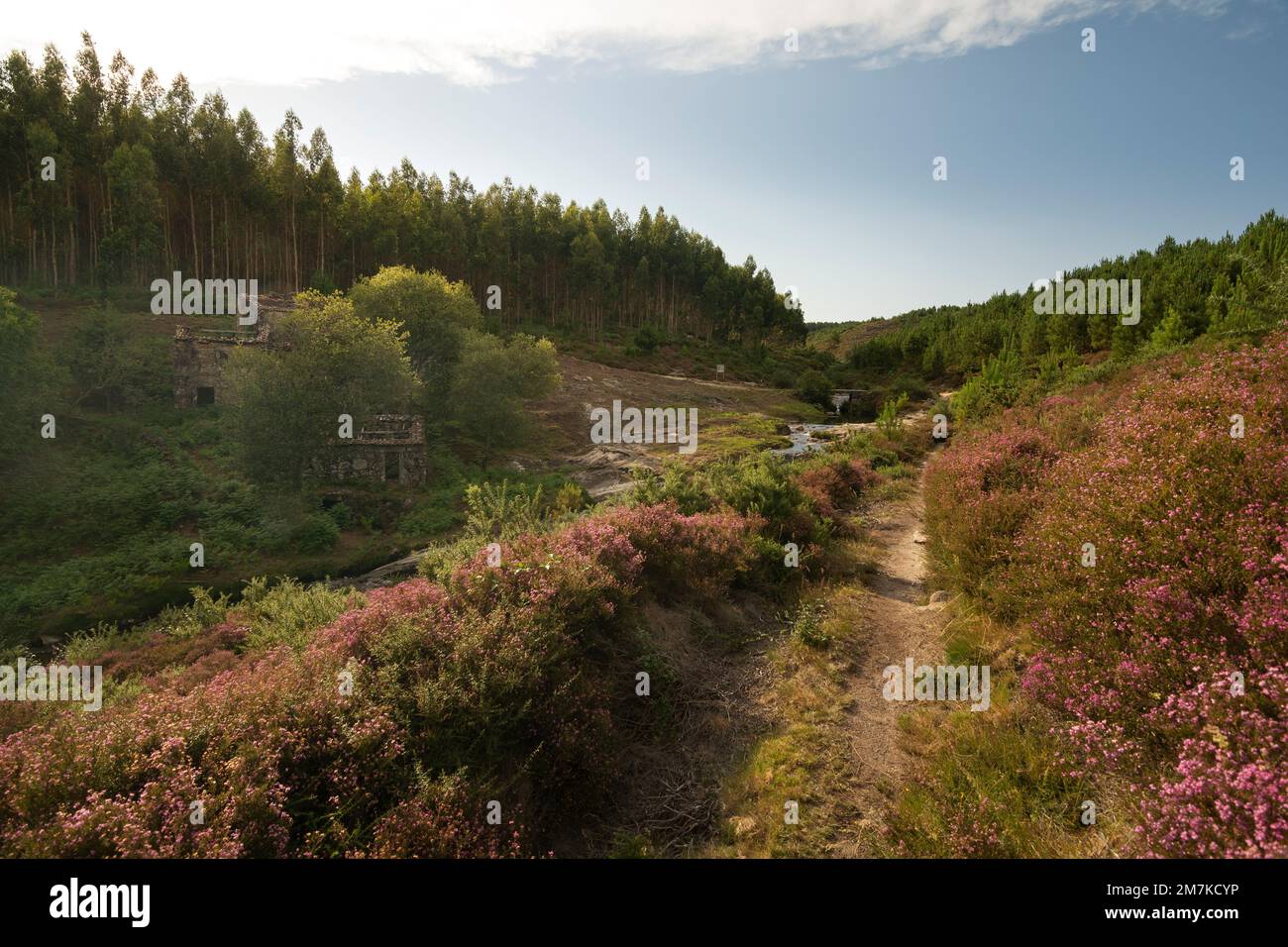 Sentiero naturale vicino al fiume Cal, in cima alla zona dei mulini ad acqua di Folón e Picón, a o Rosal Foto Stock