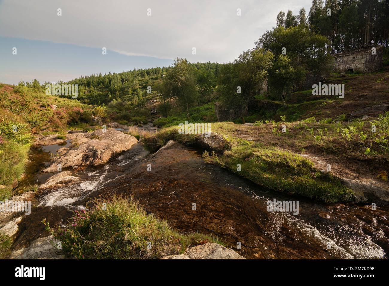 Torrente di montagna chiamato fiume del Cal, sulla cima di Folón una zona di mulini ad acqua Picón, in o Rosal Foto Stock