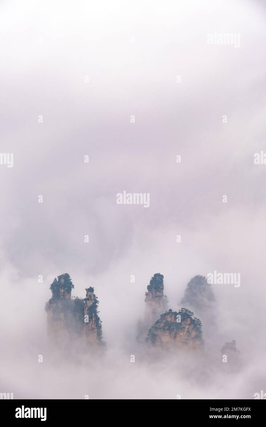 Zhangjiajie National Forest Park. Vista panoramica sulle scogliere e le montagne nelle nuvole. Avatar montagna rocce sullo sfondo nubi nebbia. Foto Stock