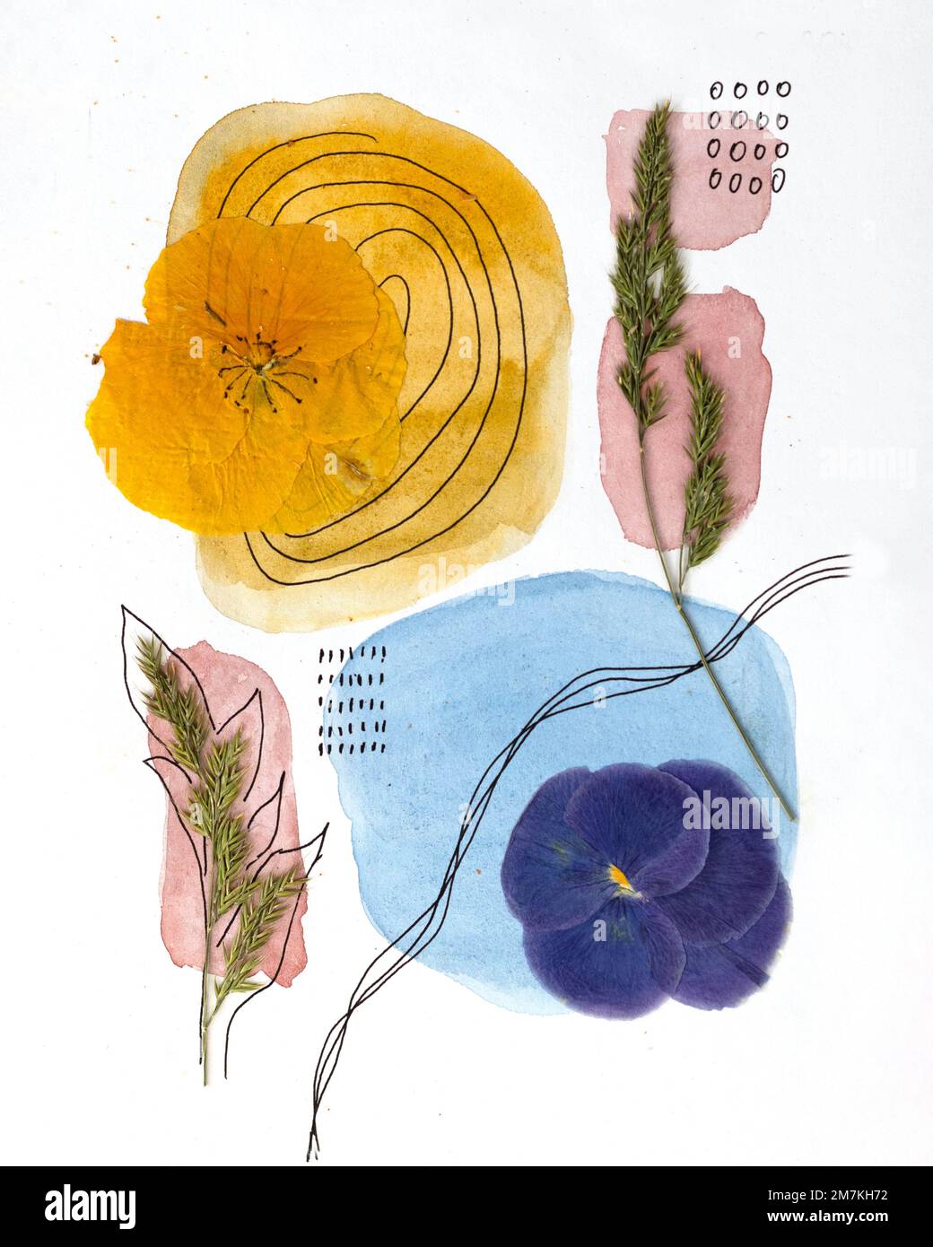 Composizione in stile boho di fiori secchi e spruzzi d'acquerello. Idea poster di design degli interni. Arte contemporanea botanica dei fiori pressati Foto Stock