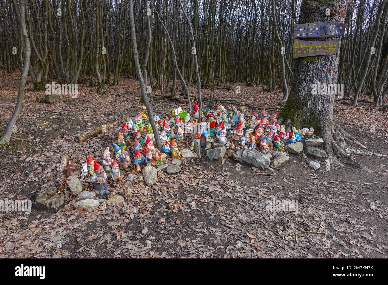 enorme gruppo di gnomes giardino colorato in un luogo nella foresta durante le escursioni Foto Stock