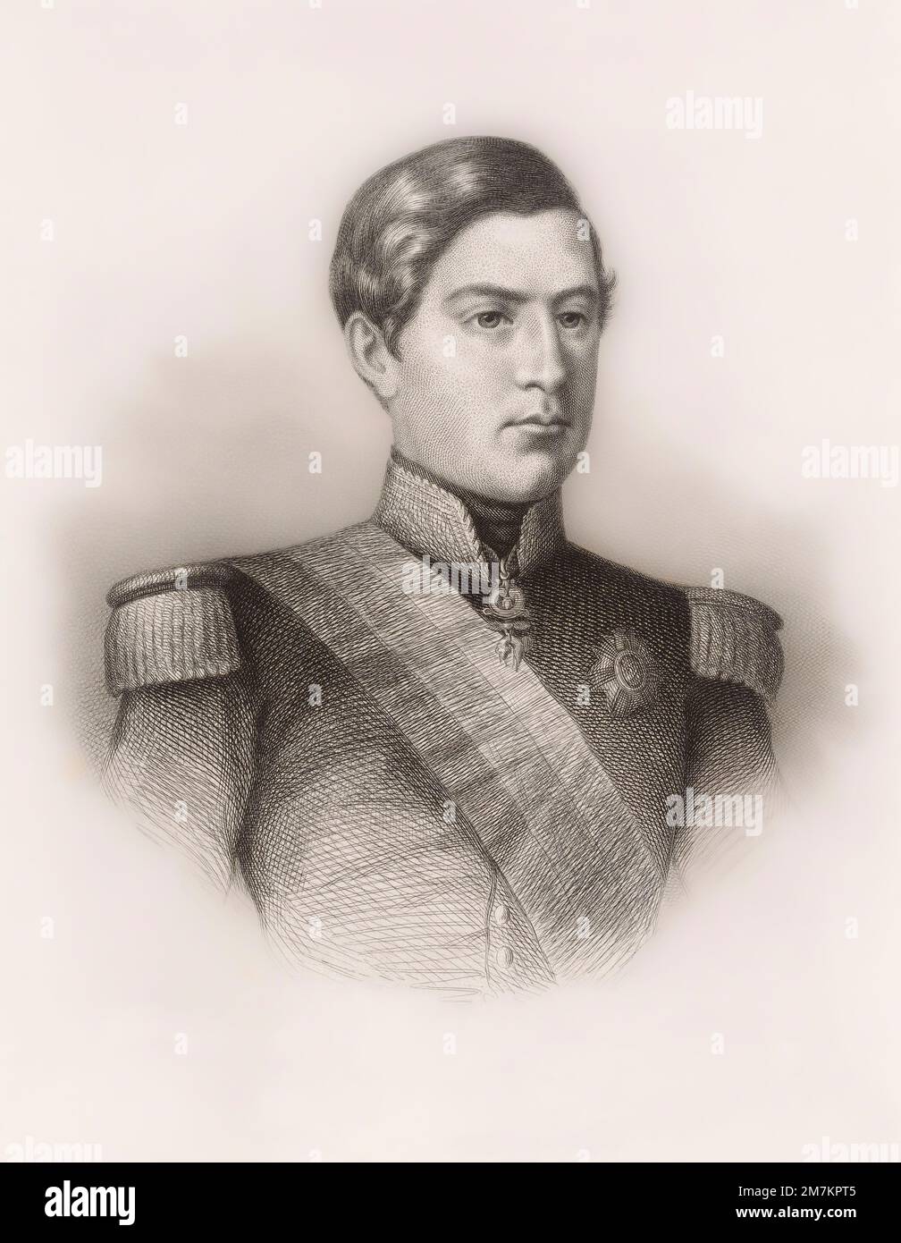 Pedro V del Portogallo, o Pietro V del Portogallo, 1837-1861. Conosciuto come la speranza. Dopo un lavoro del 19th ° secolo di Pierre Guillaume Metzmacher. Foto Stock