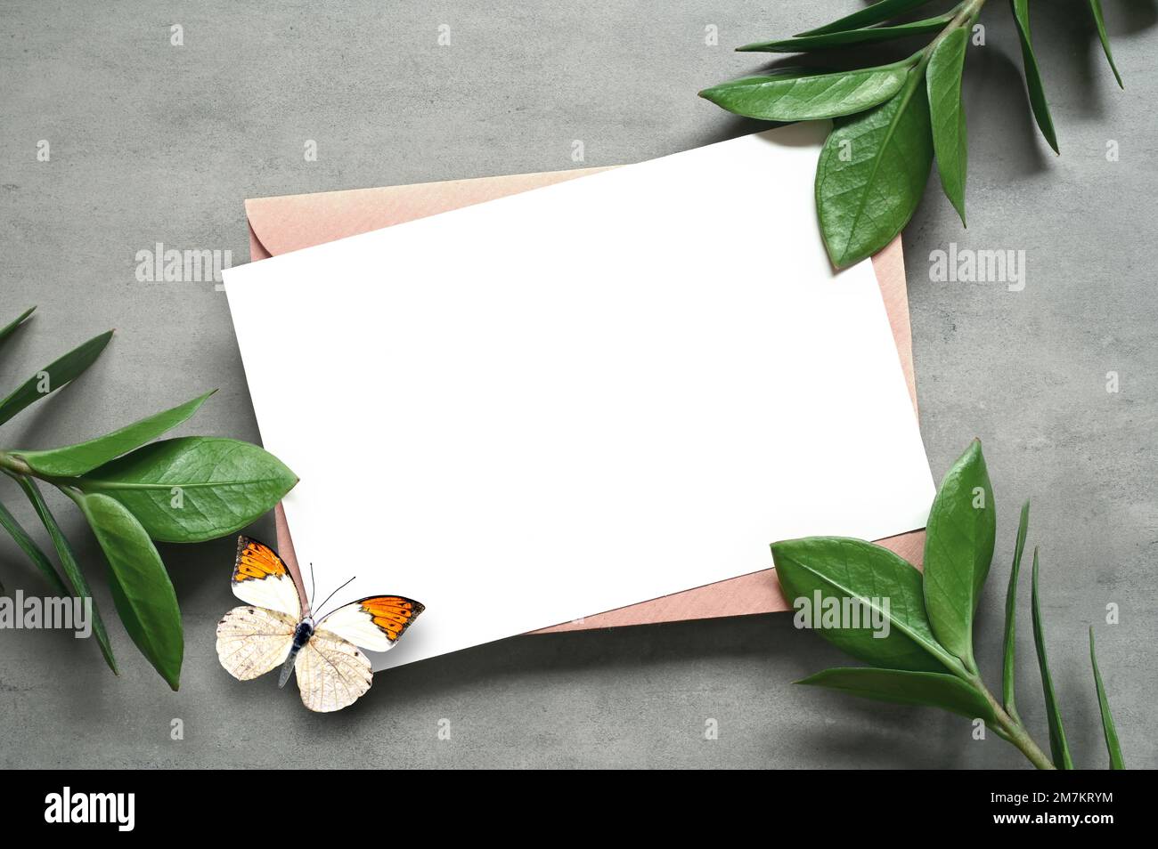 Mock up card con foglia di zamioculcas e farfalla. Biglietto d'invito con busta su sfondo grigio. Foto Stock