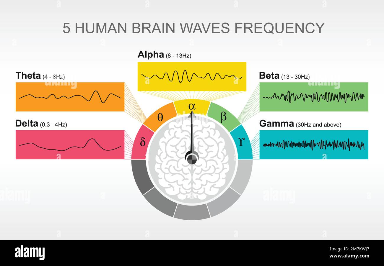 Grafico illustrativo infografico delle onde cerebrali tensione elettrica oscillante Delta, Theta, Alpha, Beta, gamma Vector, studio sull'attività dei neuroni cerebrali Illustrazione Vettoriale Grafico illustrativo infografico delle onde cerebrali tensione elettrica oscillante Delta, Theta, Alpha, Beta, gamma Vector, studio sull'attività dei neuroni cerebrali Illustrazione Vettoriale