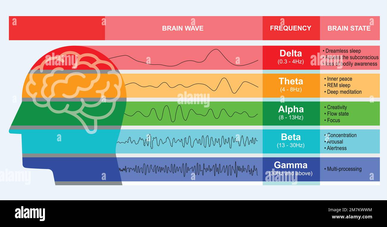 Diagramma delle onde cerebrali umane in diverse frequenze delle onde, un neurologo, neuroscienziato, e medico studio EEG cervello indicazione illustrazione vettore Illustrazione Vettoriale