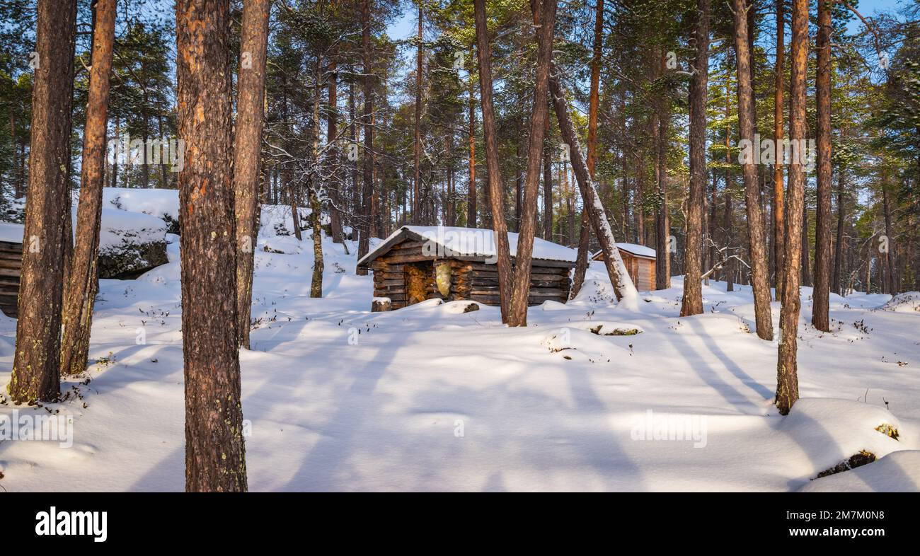 Foresta innevata con capanna di tronchi in Finlandia. Foto Stock