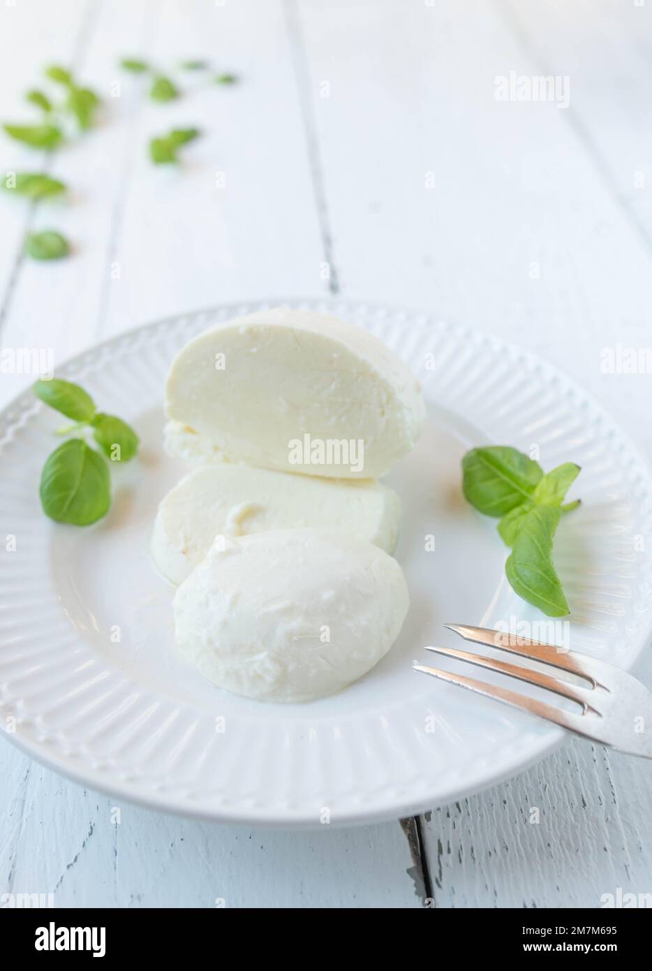 Mozzarella fresca su piatto bianco con basilico su fondo bianco con spazio per il testo Foto Stock