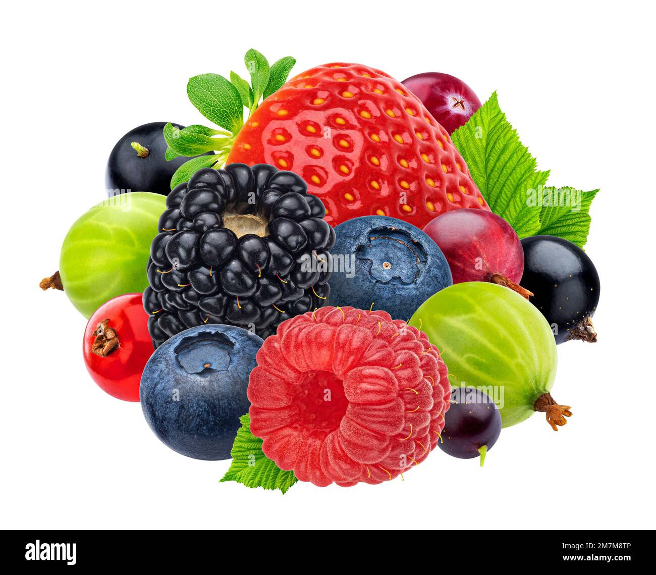 Berry isolato su sfondo bianco con percorso di ritaglio, vista dall'alto Foto Stock