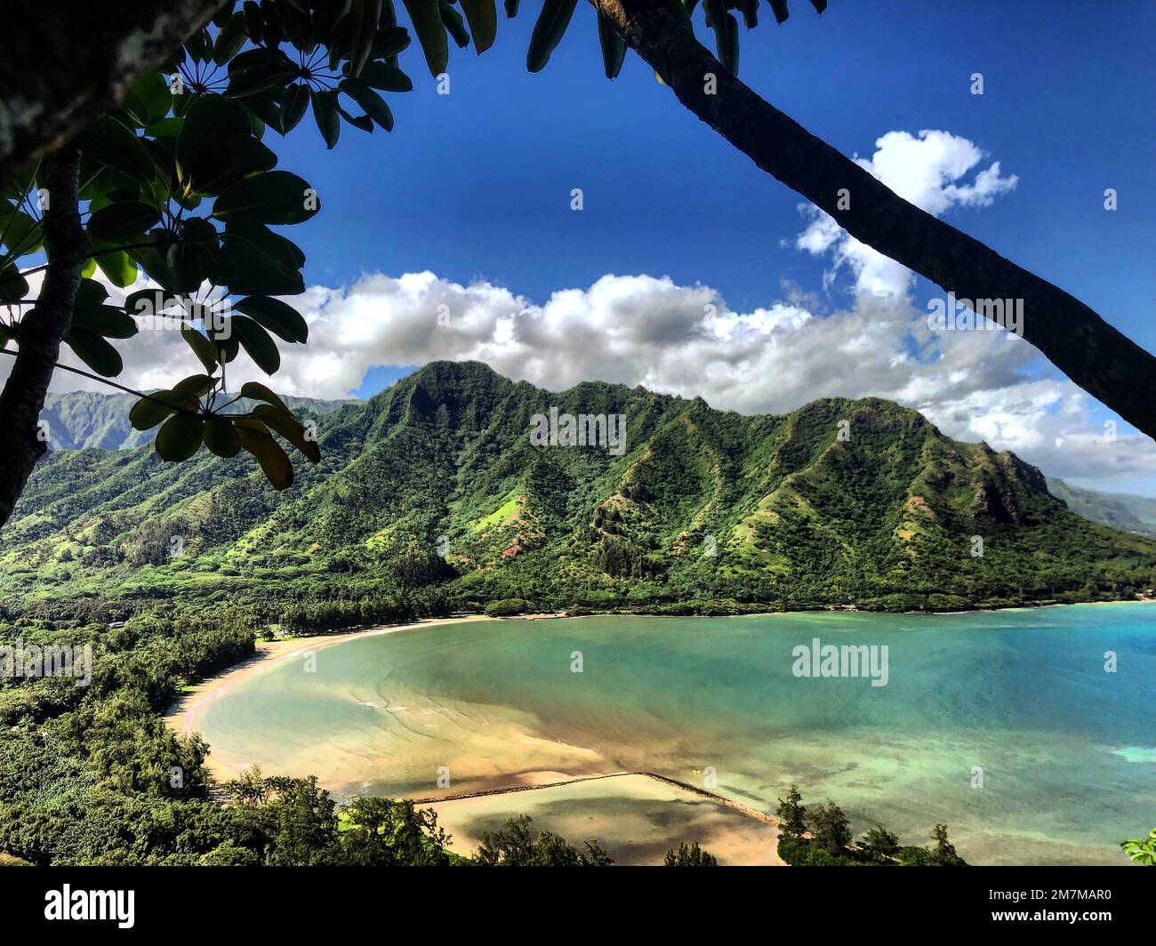 Uno splendido paesaggio di una costa tropicale con verdi scogliere boschive Foto Stock