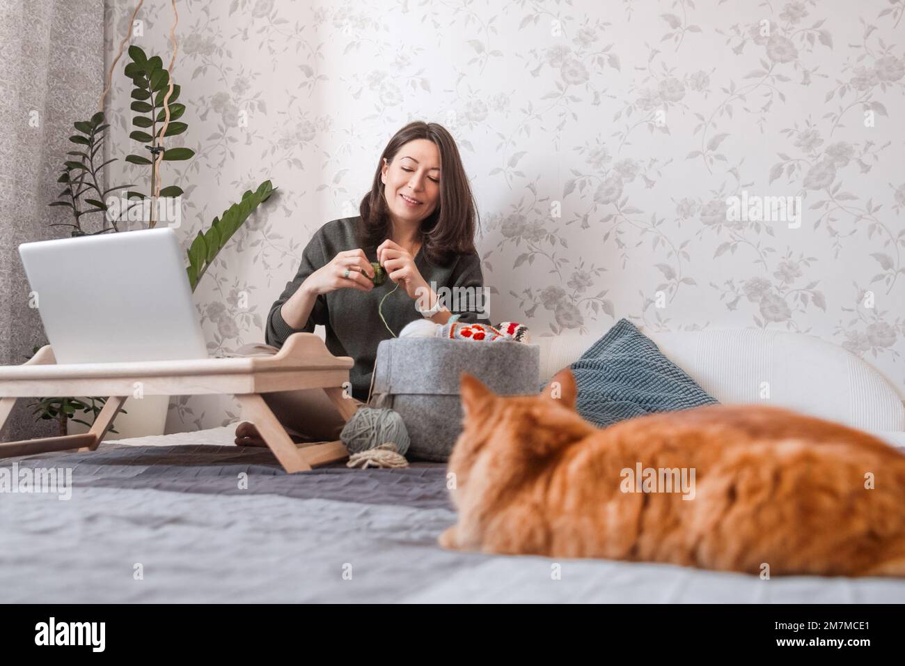 Ginger Cat guarda come la donna si accovacciano mentre guarda un film sul notebook. Impara a lavorare a maglia dalle lezioni video su Internet. Casa accogliente e anti stress hobby Foto Stock
