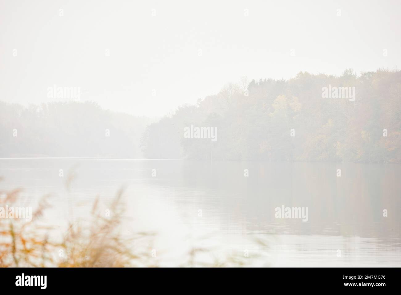 Paesaggio di autunno Foto Stock