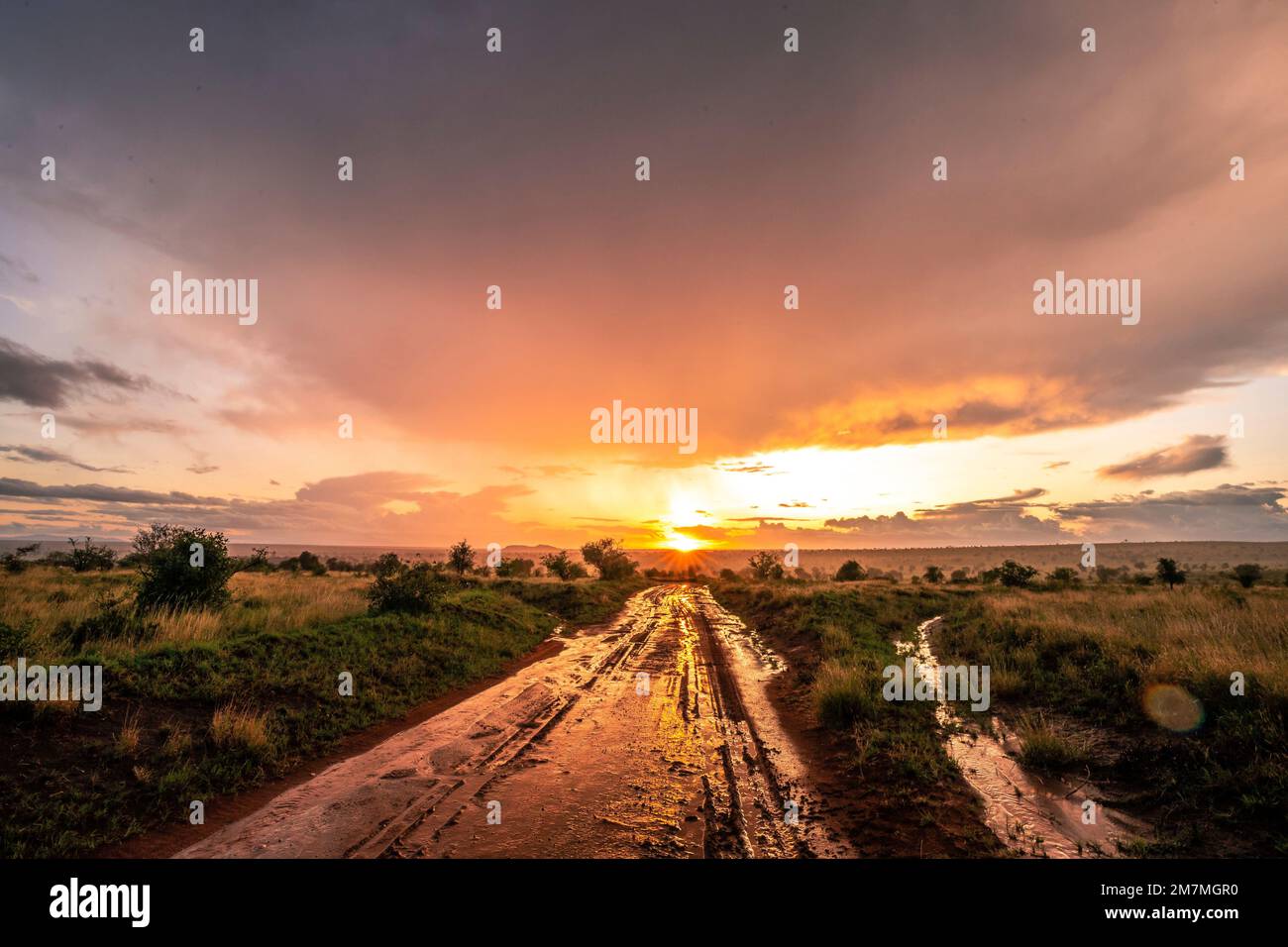 Tramonto nella savana dell'Africa, nuvole di pioggia nel Parco Nazionale di Tsavo Ovest, Taita Hills, Kenya, Africa Foto Stock