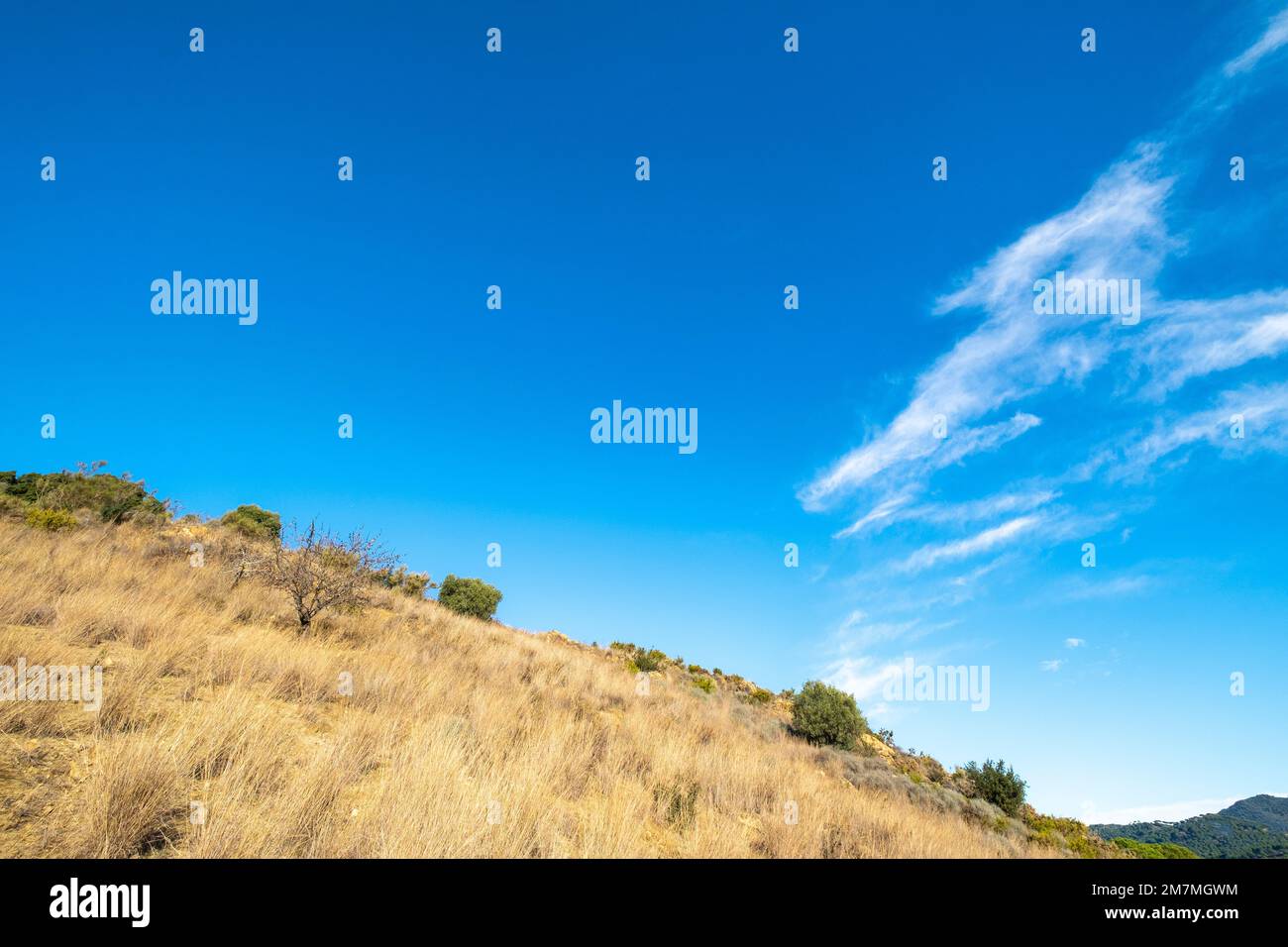 Paesaggio naturale e cielo blu con nuvole Foto Stock