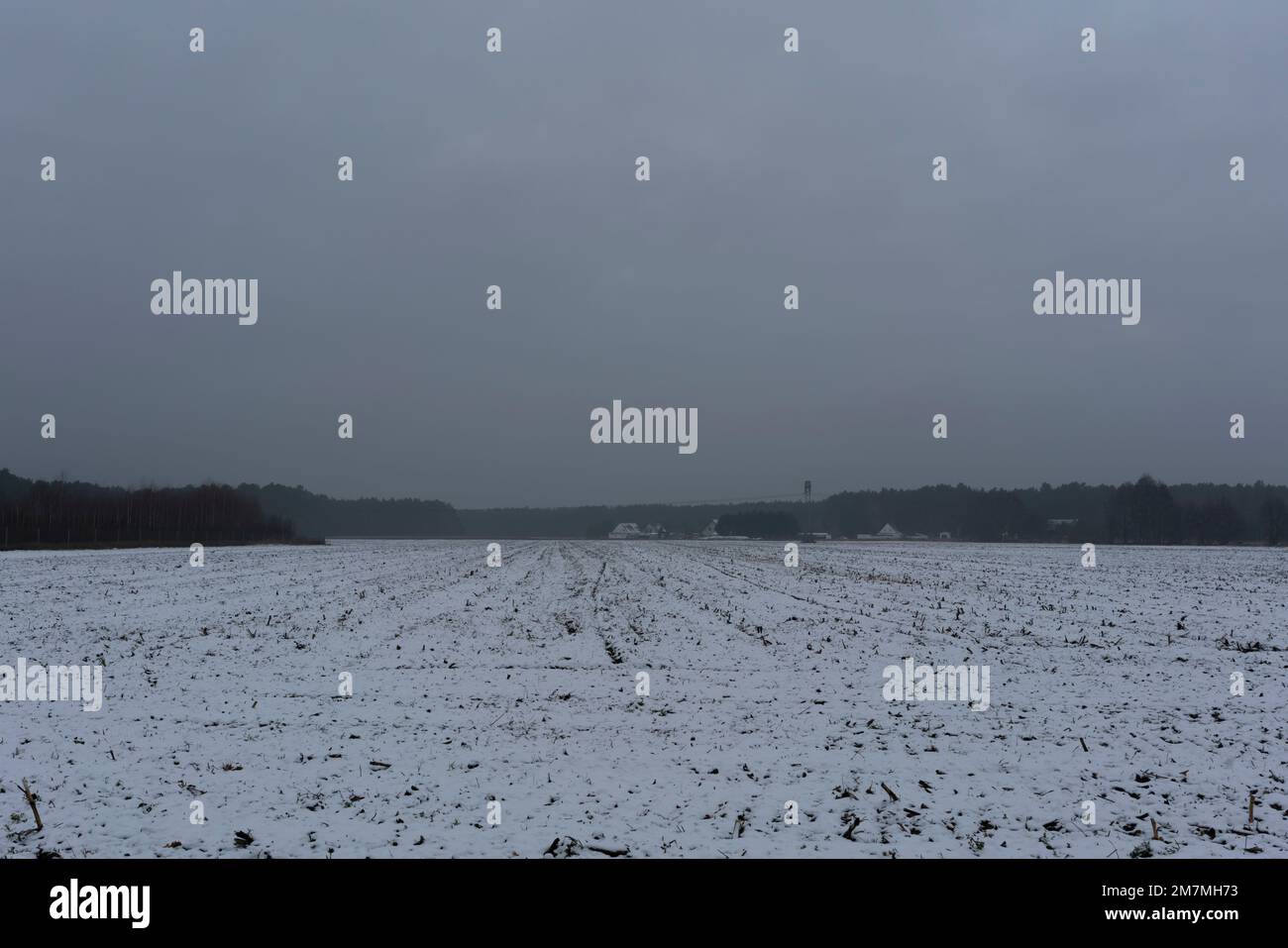 Inizio inverno, zona agricola coperta di neve Foto Stock