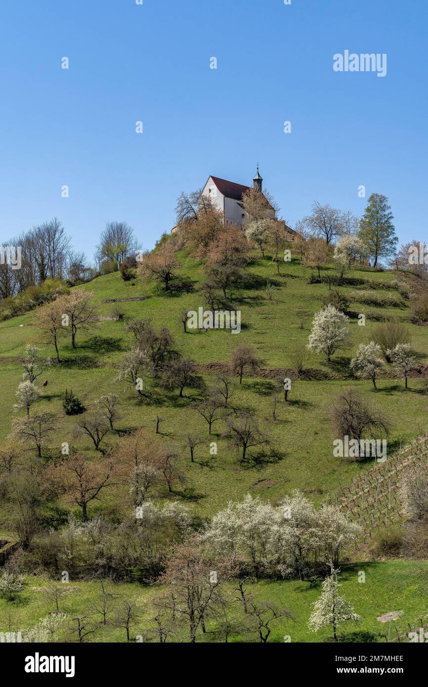 Europa, Germania, Germania meridionale, Baden-Württemberg, Regione di Schönbuch, Rottenburg am Neckar, Wurmlinger Kapelle auf dem Kapellenberg Foto Stock