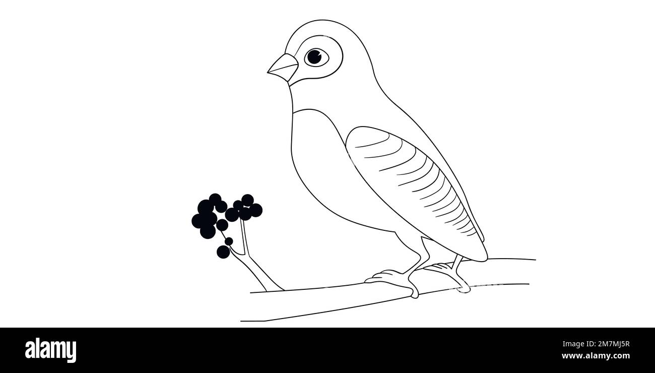 Libro da colorare uccelli felici per i bambini. Uccelli divertenti, fiori, foglie e bacche. Illustrazione vettoriale piatta con silhouette di uccelli cartoni animati. Personaggi simpatici Illustrazione Vettoriale